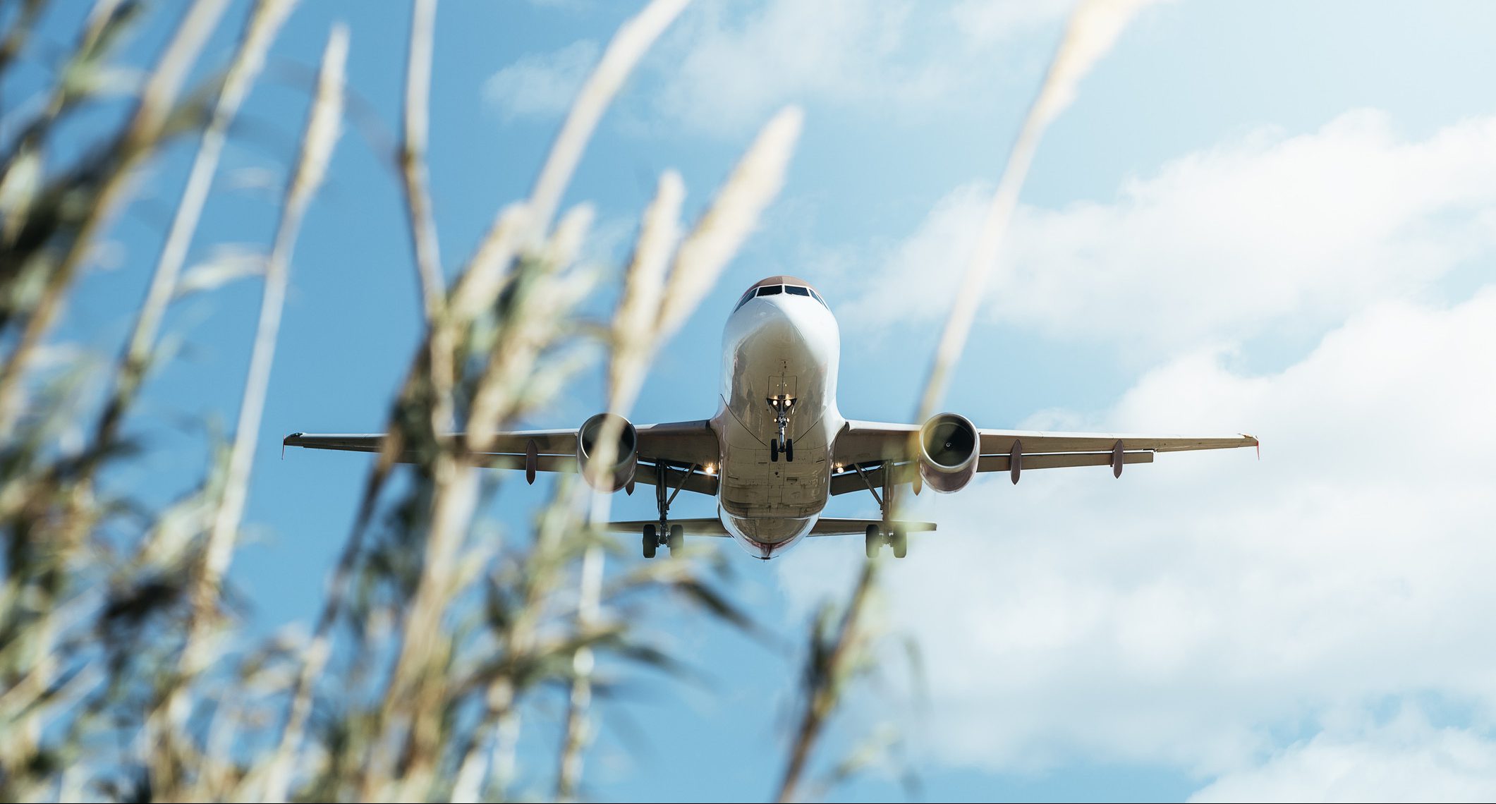 Embracing Sustainability in the Airline Industry